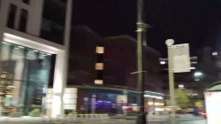 Ofrecemos dinero a esta guiri blanquita a cambio de sacar su lado más cerdo